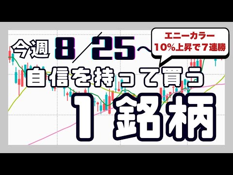 今週（8/25〜）専業が自信を持って買う1銘柄