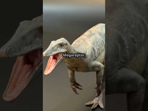¿QUIÉN GANARÍA? ¡12 Guepardos vs Megaraptor! #batallaépica #animales #dinosaurios