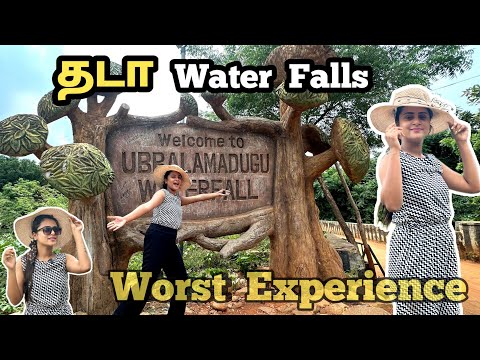Worst Monkeys Attacked us*🤬🐒