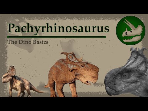 Pachyrhinosaurus | The Thick-Nosed Ceratopsid | Dino Basics