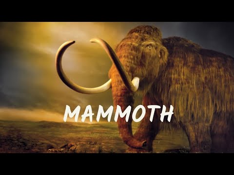 Mammoth