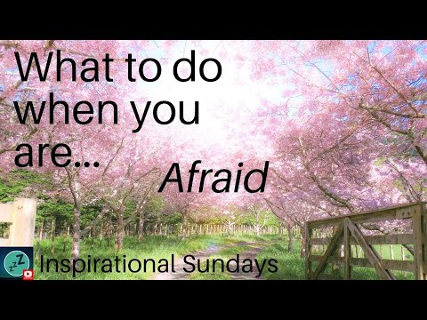#shorts Sunday Inspiration Bible Verse | Sunday Morning Meditation | Calming Music | Relaxing Music