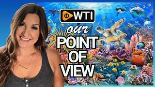 JOYZEXY 500 Piece Puzzles for Adults | POV | Would you buy it?