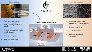 Microfluidic Models of Vascular and Lymphatic Malformations