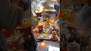 बाबा रामदेव जी के लाइव दर्शन मंदिर रामदेवरा #darshan #babaramdev #ramdevra #ranuja #mandir