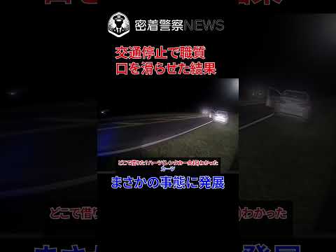 交通停止の職質中に逃走するとどうなる？まさかの事態に発展する！【ボディカメラ】【アメリカ警察密着】 #密着取材 #密着警察 #警察24 #警察密着 #ボディカメラ