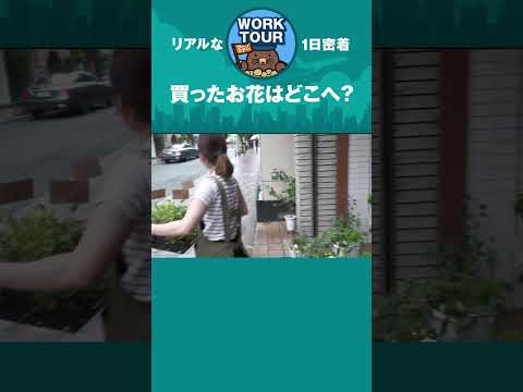お花屋さんが市場で仕入れたお花はどこへ？　#shorts