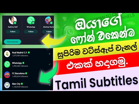 Whatsapp channel sinhala | how to create whatsapp channel 2025 | whatsapp channel create tamil 2025