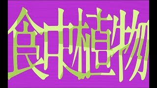 【 QwAzXyVi 】 理芽 -  食虫植物 (식충식물) 불러보았다 歌ってみた