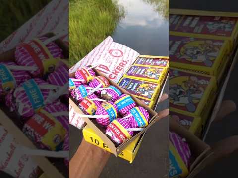 Unique type of fireworks 🎇 #diwali #shorts #experiment #fireworks #crackers #viral