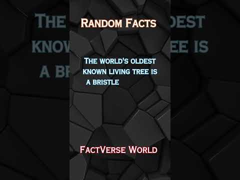 Random Facts #viralshorts #randomfacts