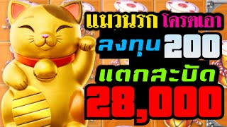 แนะนำเว็บตรง EP.12 สมัครสล็อตแตกง่าย สมัครสล็อตเว็บตรง เว็บตรงไม่ผ่านเอเย่นต์ วอเลทสมัครได้