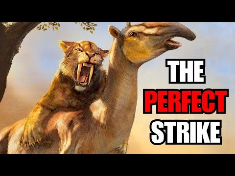 The Deadliest Hunter Of The Ice Age