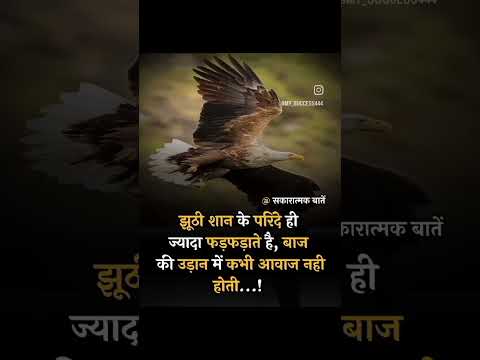 Best motivational Status Video King Video motivational #motivationalthought #short #motivationalkin