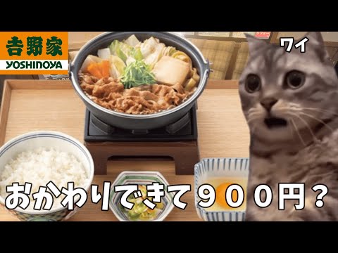 【吉野家】ごはん無限に食ってもいいらしいので牛すき鍋膳でコメをキメて来た話【すき焼き】#猫ミーム #猫マニ