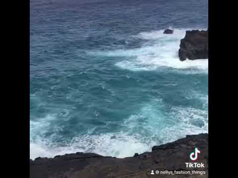 Fun times Hawaii