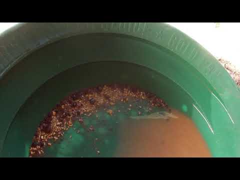 Small Scale Mining, the gold clean up