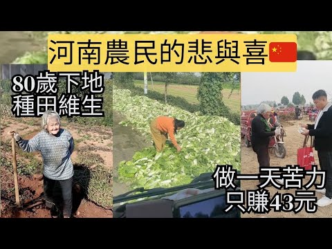默默奉獻的中原農民，生活不易，感激常在。
