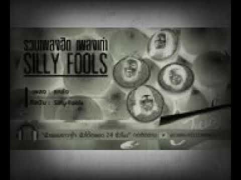 รวม Silly Fools