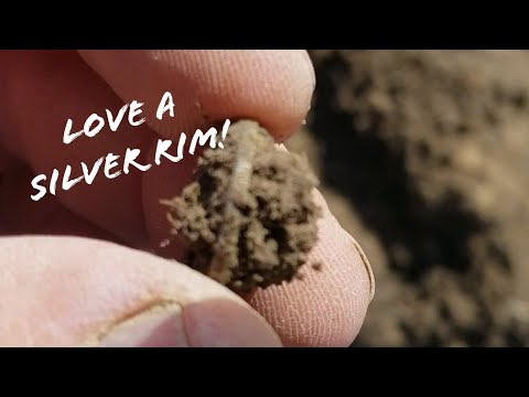 Metal Detecting Southern Ohio  February 2022