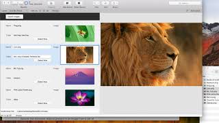 Presentation about a Core ML database for image detection.