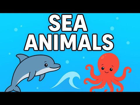Guess That Sea Creature! 🌊 | Fun Animal Facts & Pictures for Kids