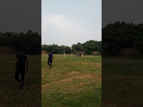 Playing cricket in school 🏫