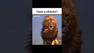 Cricket Fans are INSANE! #shorts #cricket #fanreaction