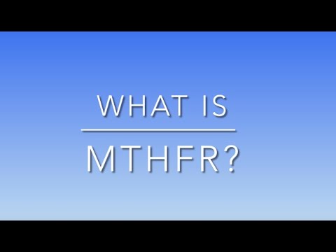 What is MTHFR?
