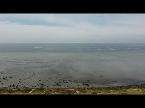 2020.11.21 EltonY DJI Mini 2 at Coastal Park ~ Dog Chasing A Runner 1080