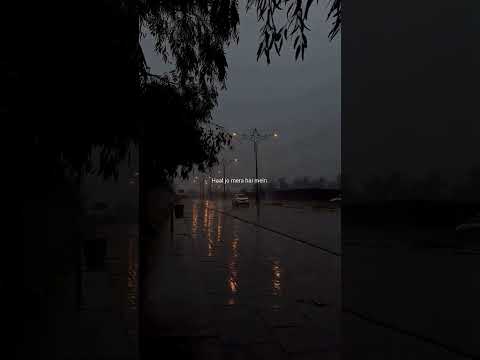 #love #flowers #nature #lovesong #music #status #trending