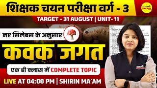 कवक जगत, VARG - 3 2025 NOTIFICATION | MPTET VARG-3 2025 VACANCY | MPTET VARG 3 2025