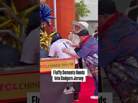 Fluffy's Dodgers Jersey Get Cemented With His Hands