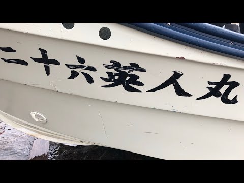 【カラフトマス釣り】最果ての地でカラフトマスに遊んでもらいなさい！の巻き