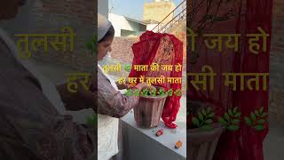 तुलसी 🌿🌿🌿🌿🌿माता की जय हो #तुलसीहमारीबड़ीसयानी#viralvideo #जयश्रीकृष्ण