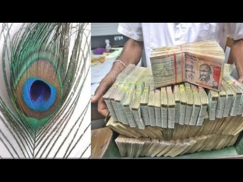 मोर पंख इस जगह रखो दो घर में रातों-रात करोड़पति बन जाओगे ।।
