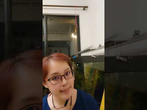 職業工會2-1：設定目標，什麼時候領老年給付