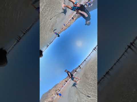 Insta 360 Horizon Flip , Totoralillo 2023