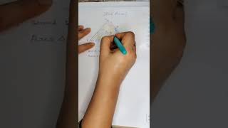 Interesting Geometry Problem/ Important Geometry skills explained! #maths #olympiad