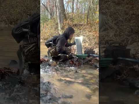 Dream Mat's Best Mat!