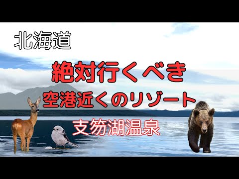 【最新北海道】新千歳空港周辺の穴場スポット