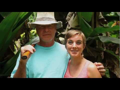 How to Catch a Falling Banana Tree (or not)