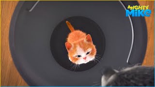 Baby cat hides in the bin | Mighty Mike | Epic cat compilation