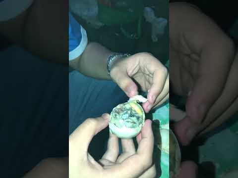 🦆🥚 #exoticfood