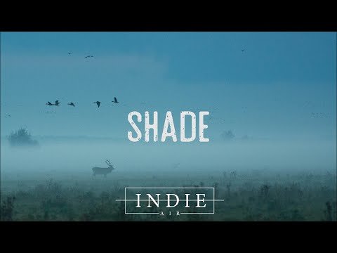 MyKey - Shade (Lyrics)