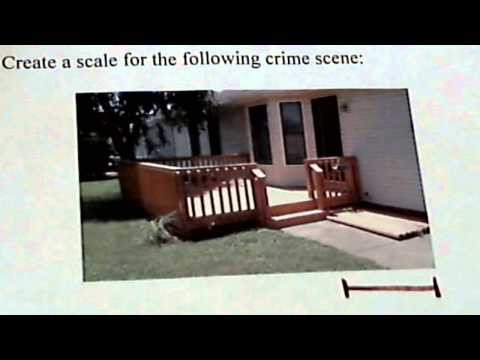 Creating a scale for a picture