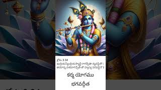#bhagavadgita #chapter3 #shloka34 #karmayogam #karmayoga #భగవద్గీత #కర్మయోగము #bhagavadgeethaseries