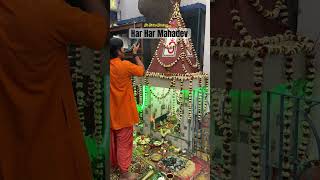 Har Har #mahadev Divine Blessings. #sanatandharma #ytshorts