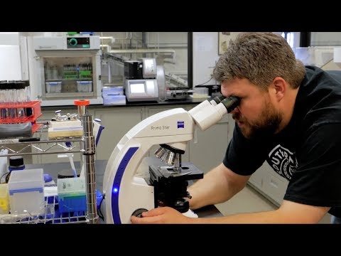 STBC Quality Assurance Video