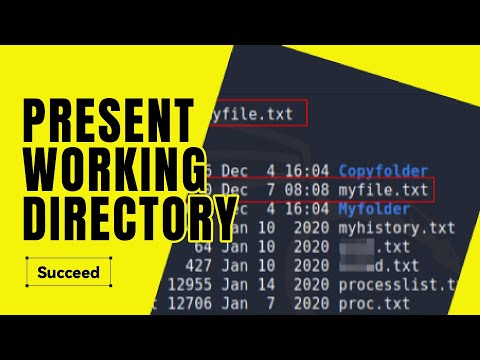 PRESENT WORKING DIRECTORY & CHANGE DIRECTORY KALI LINUX |CHAPTER 4| #kali #ethicalhacking #eccouncil